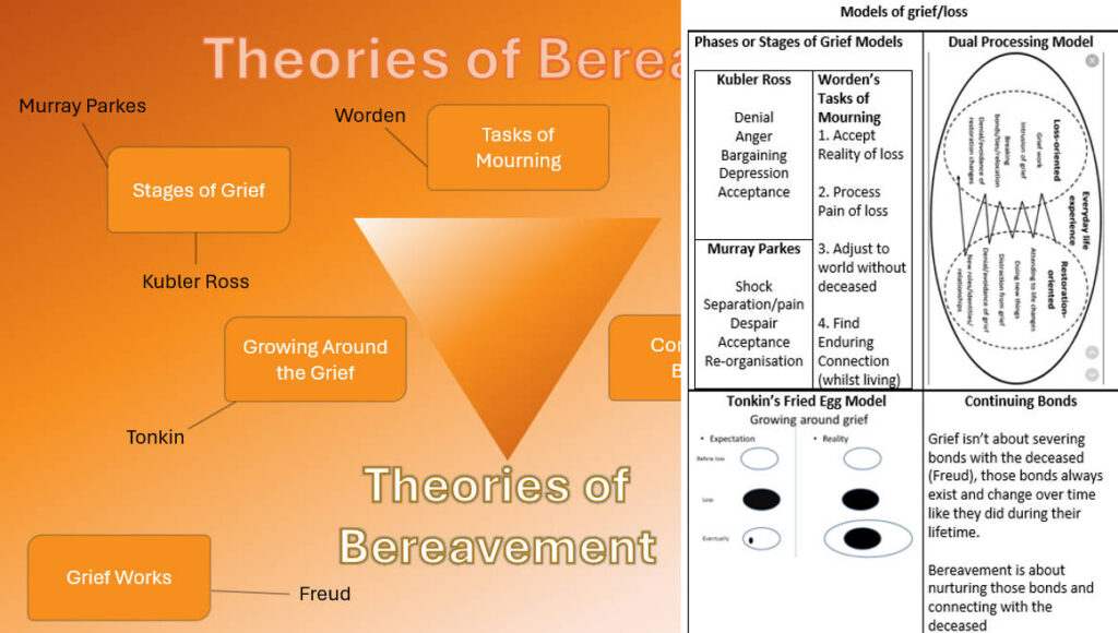 Stage of Phase Based Models of grief