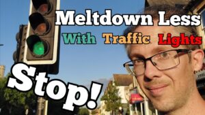 Traffic Lights Feeling Wheel