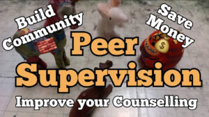 Peer Supervision. A how to guide