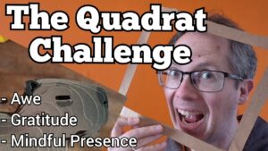 Quadrat Challenge