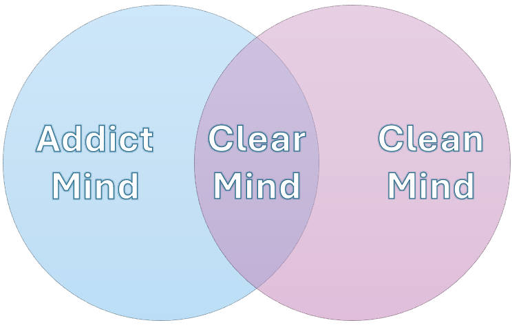 Clear Mind DBT Skill