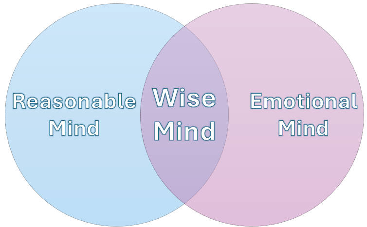 Wise Mind Skill in DBT