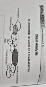 Breakdown of stages of Behavior Chain